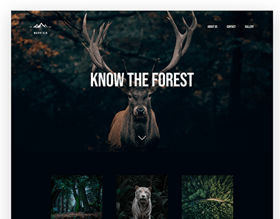 KNOW THE FOREST