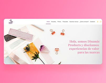 Rediseño | Dinamic Products
