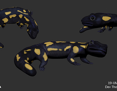 Project thumbnail - Salamander
