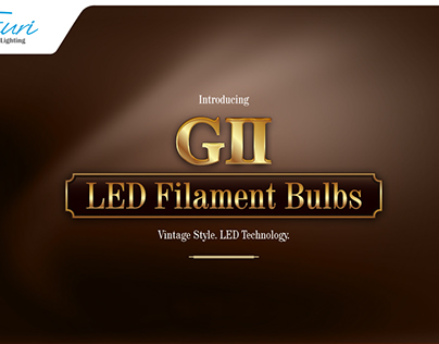 AJZ™ Design | EURI Lighting G2 LED Filament Bulbs Adv.