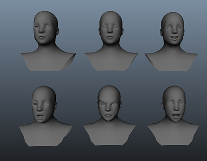Facial Expressions Animation