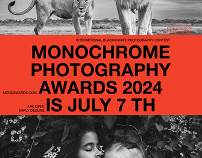 Posters for Monochrome photography awards 2024