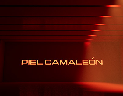 Concert Visuals - Piel Camaleón 2023