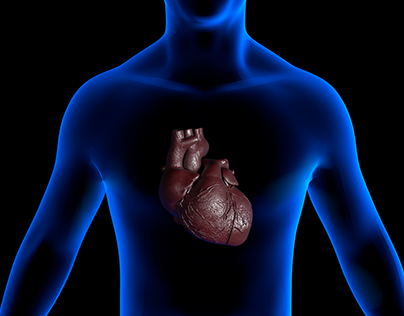 Medical Art (3D) Heart beat