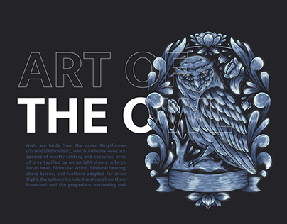 Art of The Owl