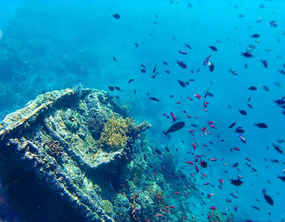 amazing wreck diving Bali you should visit