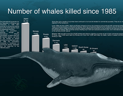Whales Infographic