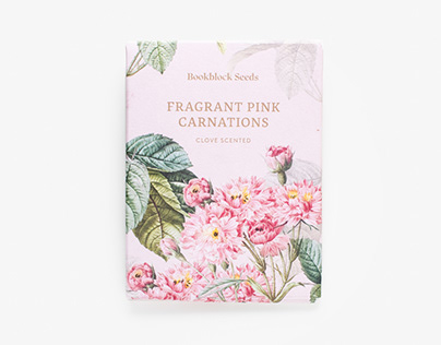 Fragrant Pink Carnation Seeds