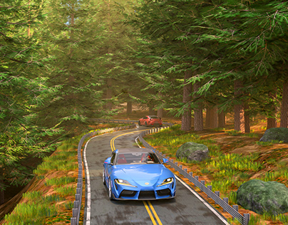 Car Driving In Forest