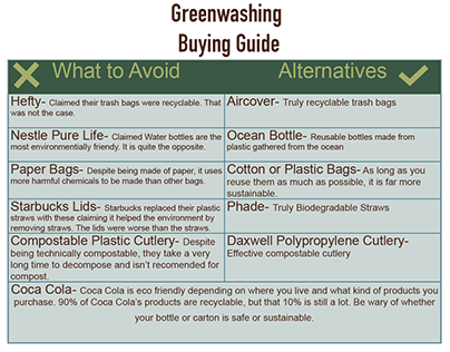 Greenwashing Prevention Project