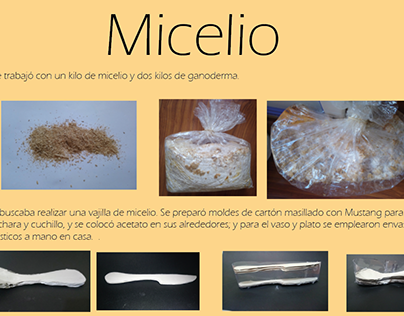 Vajilla hecha de Micelio de Ganoderma