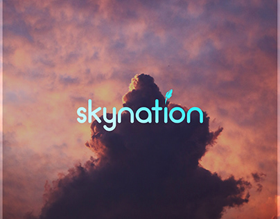 Skynation. IT company