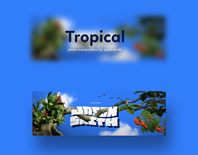 Tropical Photo Manipulation Development