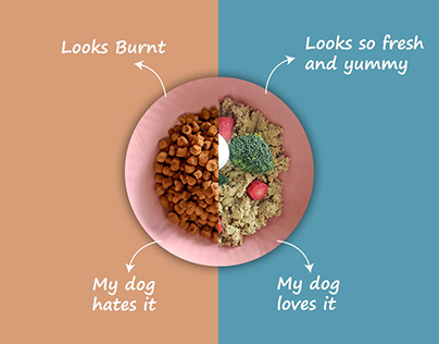 What Foods Can Dogs Not Eat? Understanding Canine