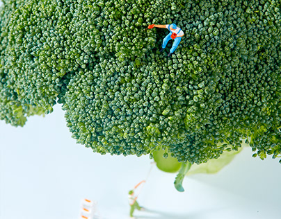 Broccoli photography