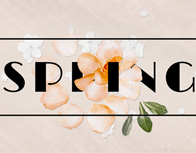 PROJET PERSO : SPRING