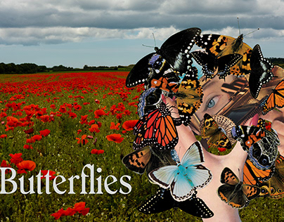 Butterflies (PNG FILES)