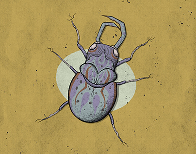Coleoptera collectible cards
