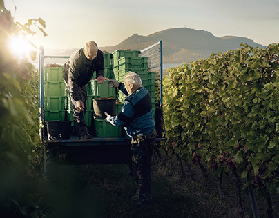 Sonberk Winery Commercial