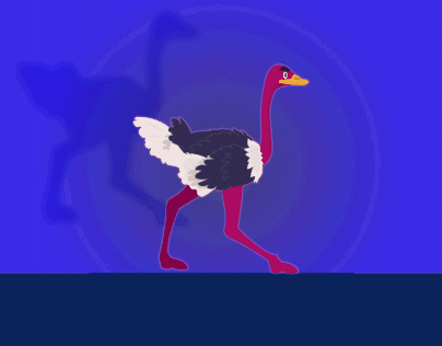 Ostrich walk cycle - After effect- MotionGraphic