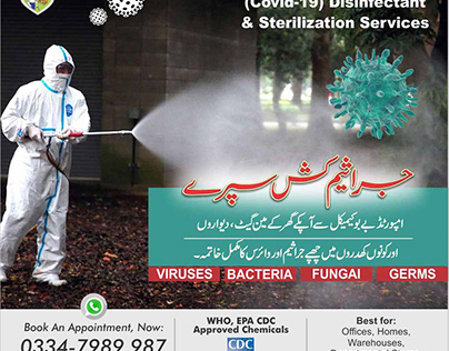 Termite Control and Pest Control Services in Lahore