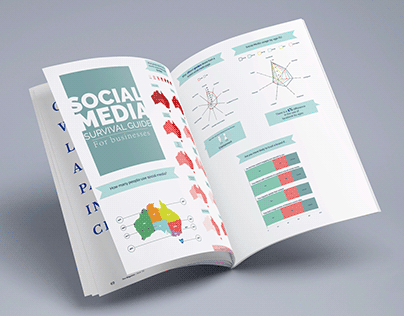Info-graphic Social Media Guide (Straya)