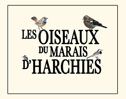 Poster "Les oiseaux du marais d'Harchies"