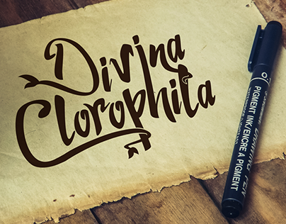 Divina Clorophila - Rebranding