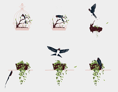 birdies age / frame-by-frame