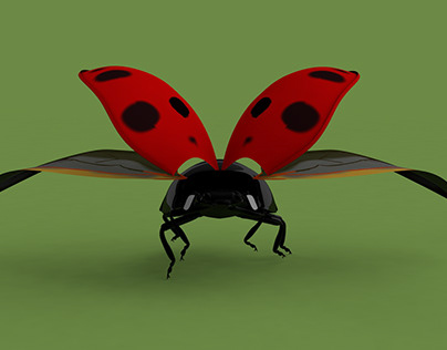 3D COCCINELLIDAE MODEL - ANIMATION - RIGGING