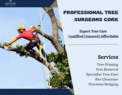 Professional Tree Surgeons Cork