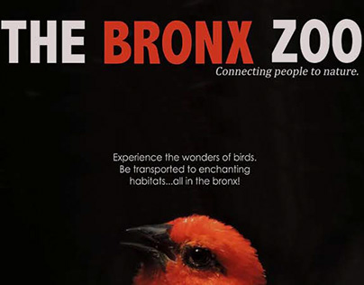 Bronx Zoo Posters