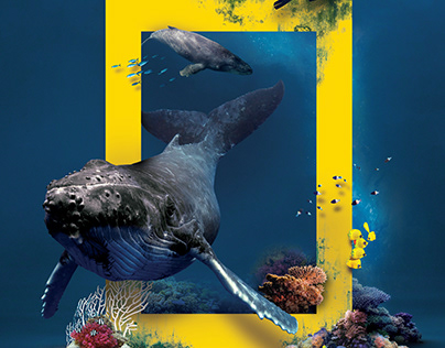National Geographic Now Print Adverts