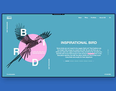 Inspirational-Bird