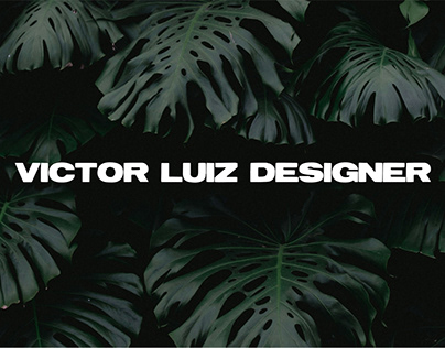 Project thumbnail - VICTOR LUIZ DESIGNER