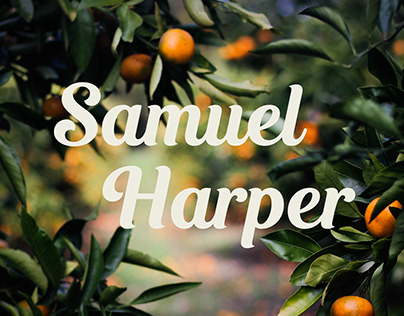 Samuel Harper - Fruit & Veg supplier