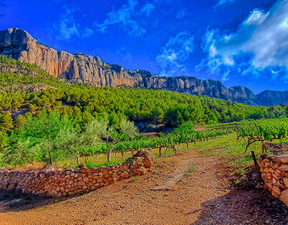 Serra de Montsant - camí a Scala Dei - Priorat