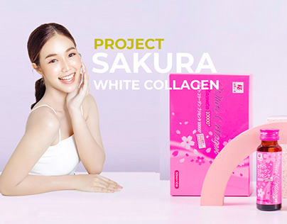 Sakura White Collagen's Project