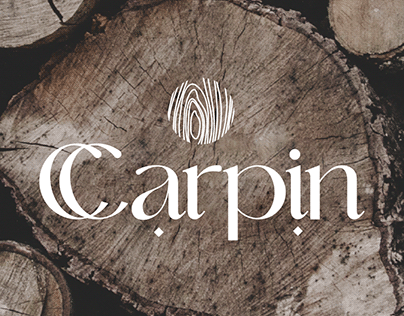 Carpin Holding