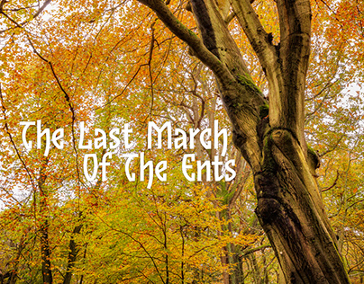 The Last March Of The Ents
