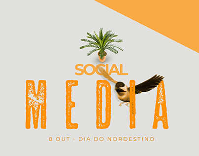 Social Media // Dia do Nordestino