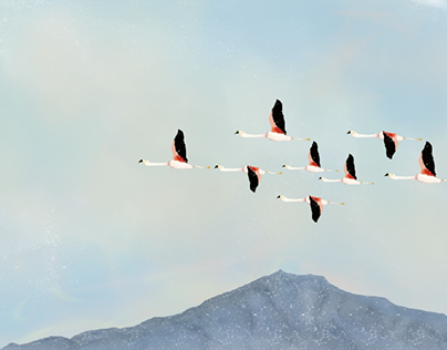 Flying cranes