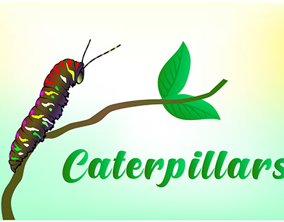 Caterpillars Hand Drawn Illustrations Graphic