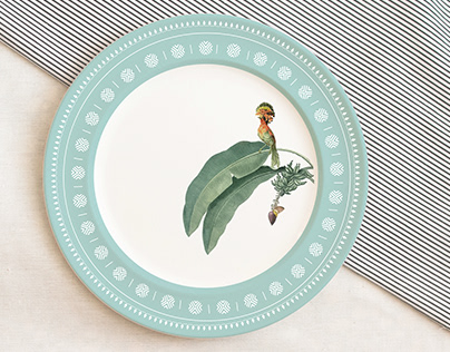 Besotted - Crockery and logo design