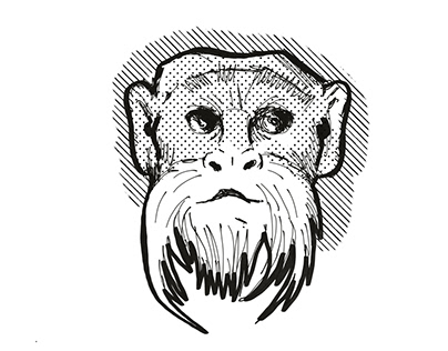 Emperor Tamarin Monkey Cartoon Retro Drawing