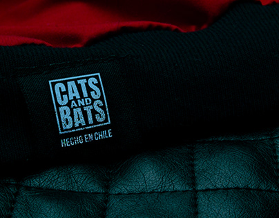 CATS AND BATS: Fotografías