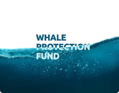 Whale Protection Fund - Website