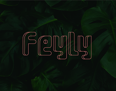 Feyly | A Modular Typeface