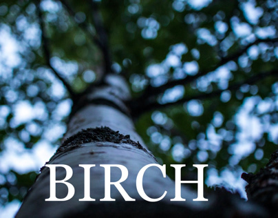 Birch variations