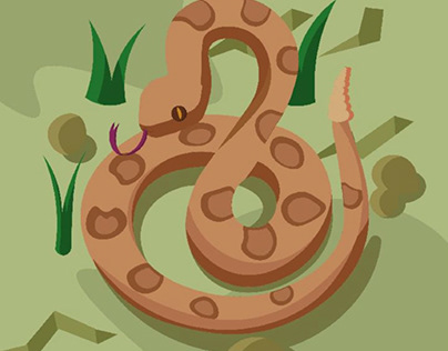 Rattle snake